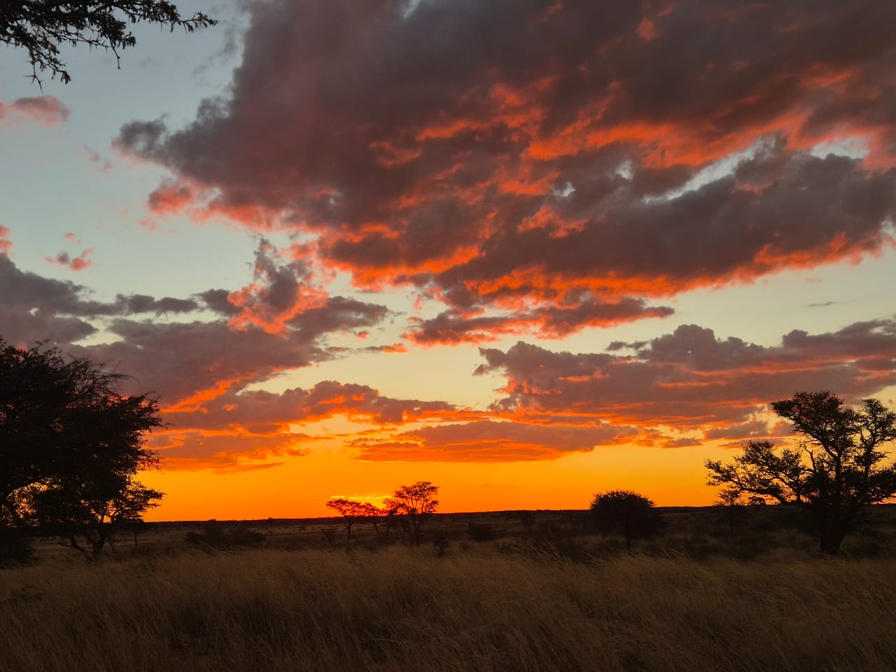 Sunset over the open Kalahari landscape